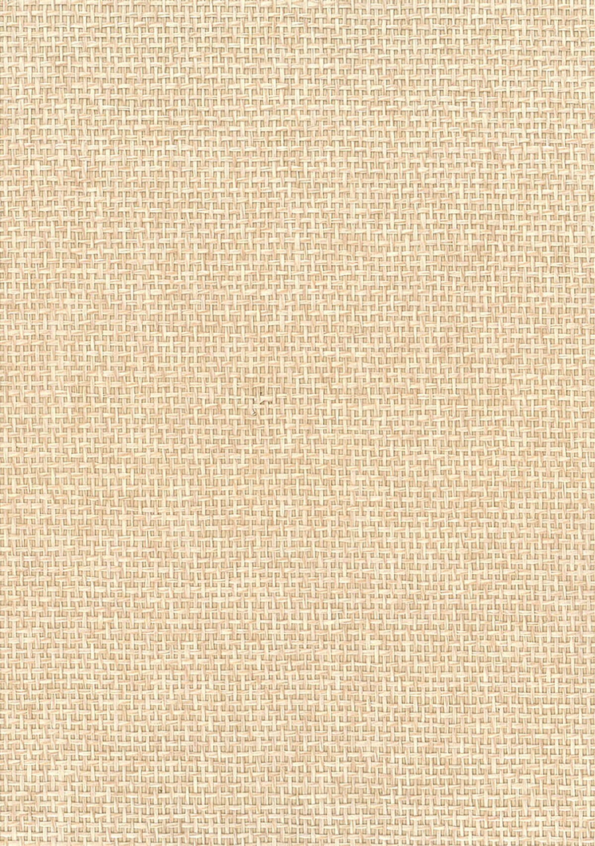 Seabrook Designs NA506 Natural Resource Paperweave Grasscloth  Wallpaper Neutrals