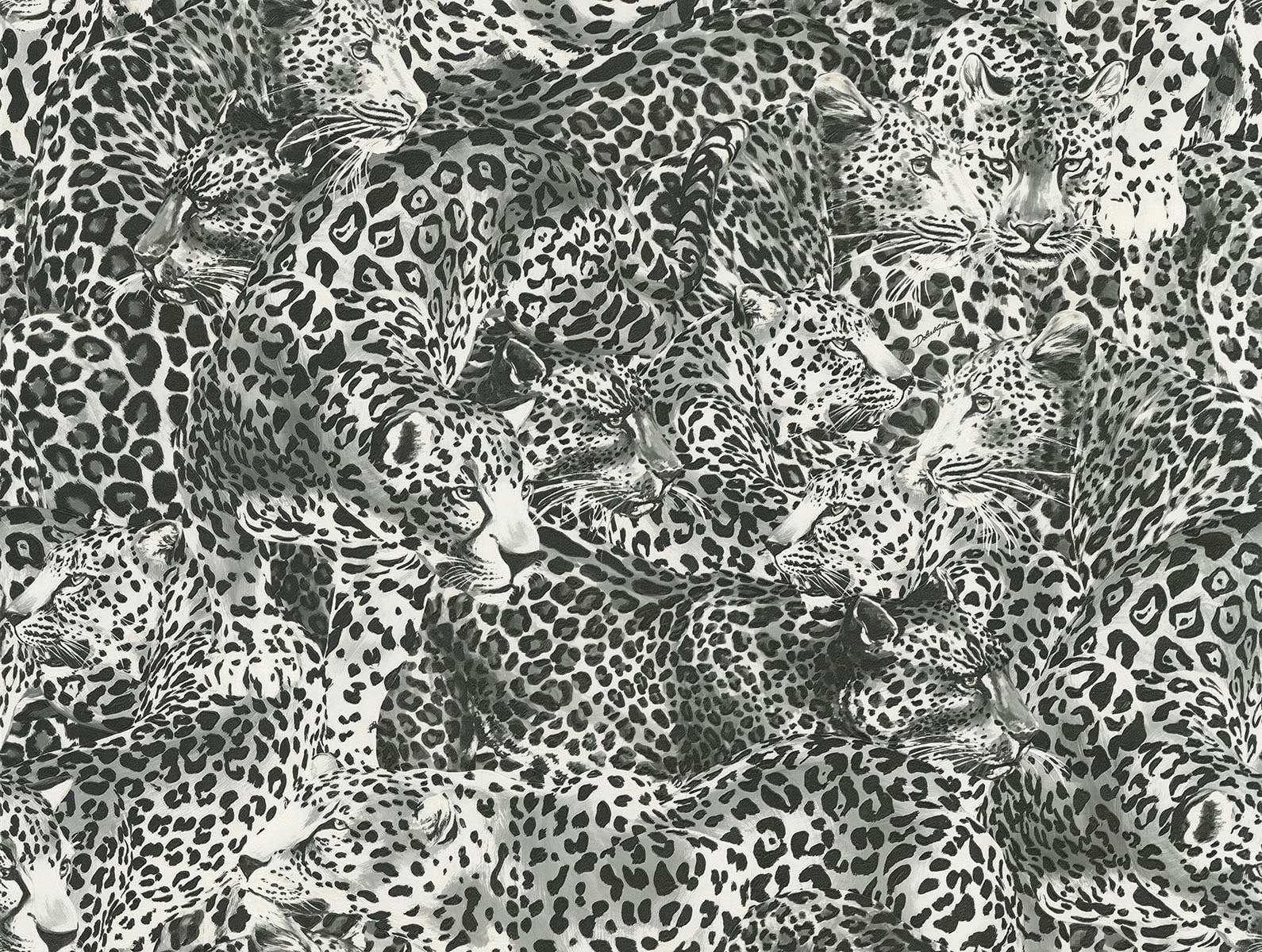 Dolce & Gabbana Casa TCW007TCAHOUL030 Volume 1 Leopardo Incognito  Wallpaper Alessandra