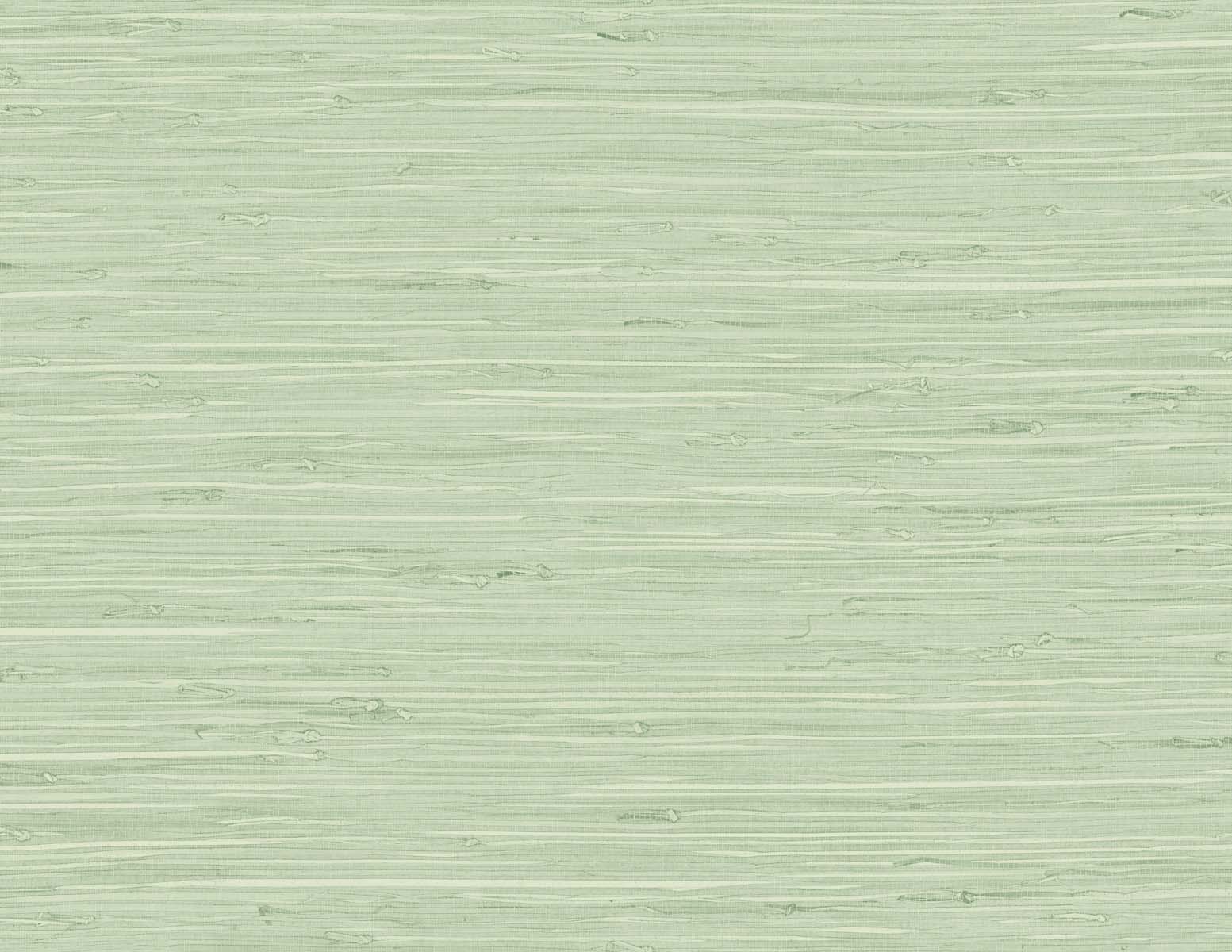 DuPont TG60535 Tedlar Textures Marion Faux Arrowroot Embossed Vinyl  Wallpaper Frosted Grass