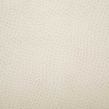 Pindler Fabric OUT002-WH06 Outback Bisque